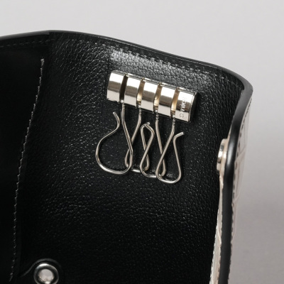 �J���[�o���G�[�V����