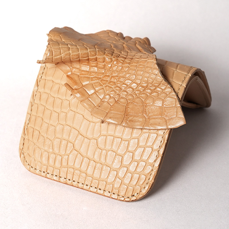ほでなすバサーわしき 2026 POROSUS(N) / BLISTER(S) | ONLINE SHOP | WILDSWANS(ワイルド