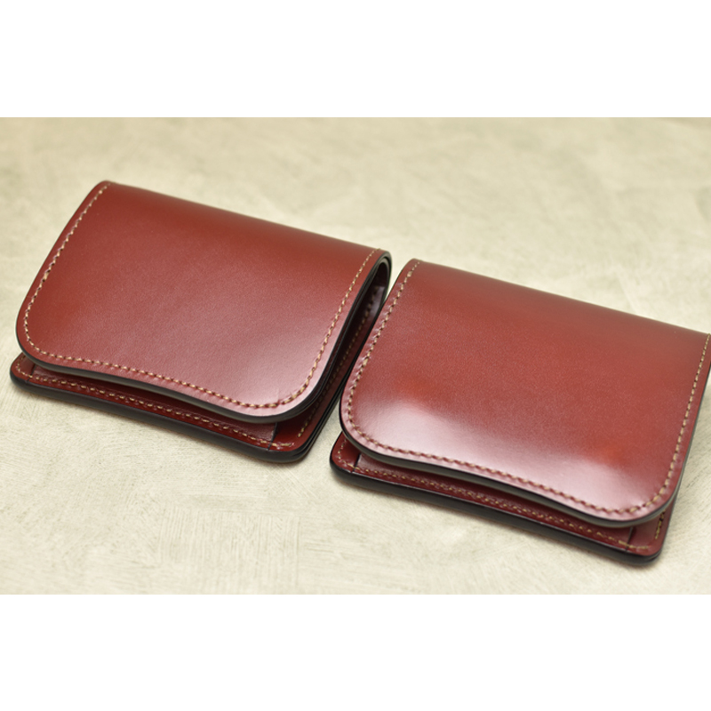 2024 LLOYD VACHE / OPTICAL CASE | LIMITED | WILDSWANS(ワイルド