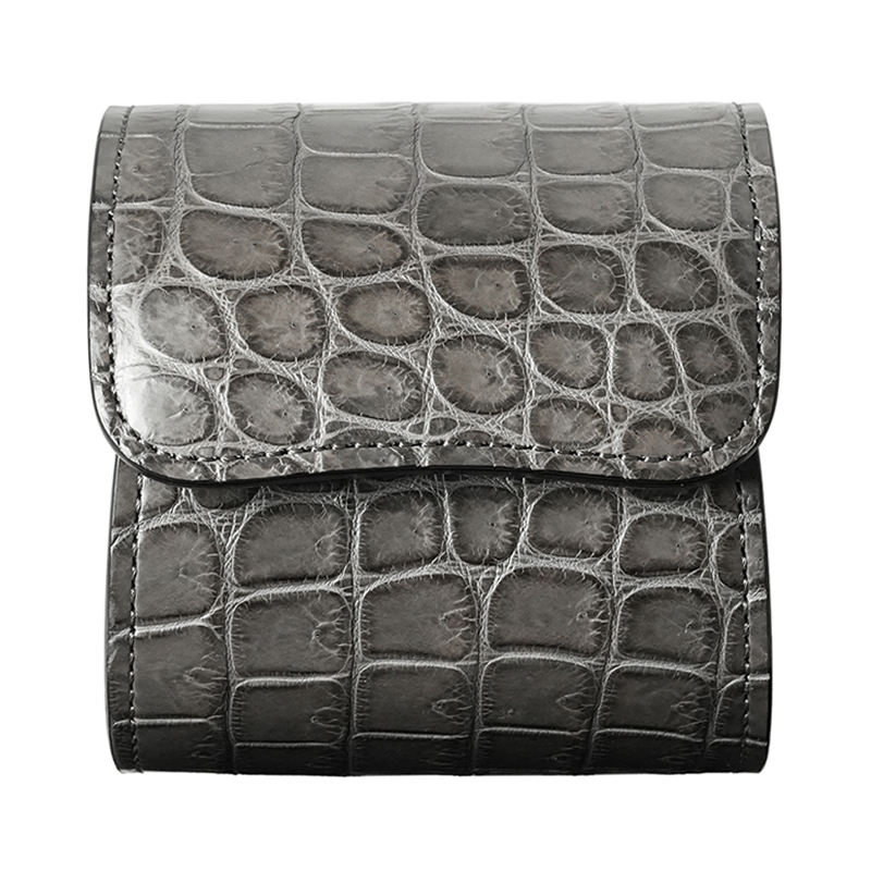 2024 POROSUS / WATCH CASE | LIMITED | WILDSWANS(ワイルドスワンズ ...