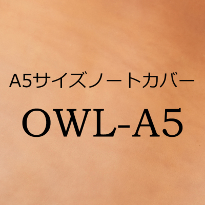 J[oG[V