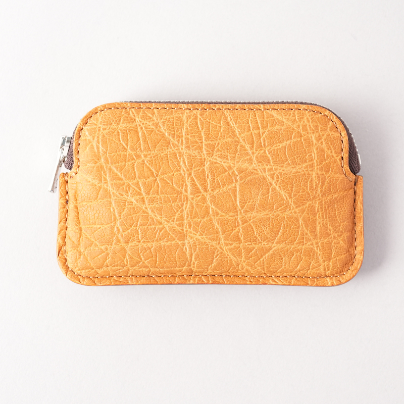 2025 ELEPHANT / MINAS | LIMITED | WILDSWANS(ワイルドスワンズ