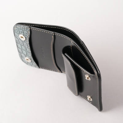 �J���[�o���G�[�V����