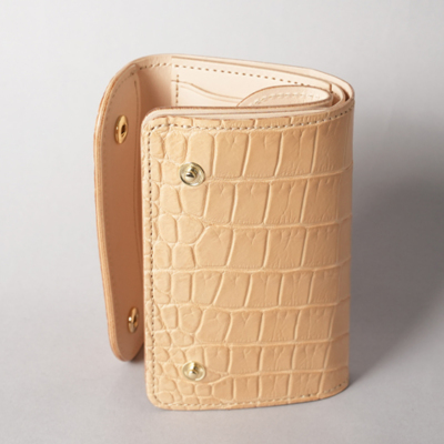 �J���[�o���G�[�V����