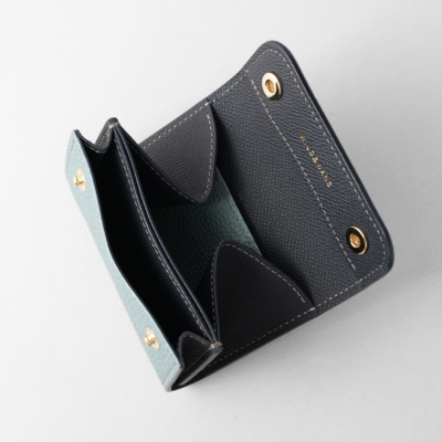 �X�J�C�~�l�C�r�[�u���[