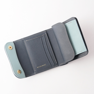 �X�J�C�~�l�C�r�[�u���[