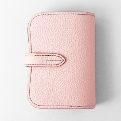 �T�N���~�G�g�[�v